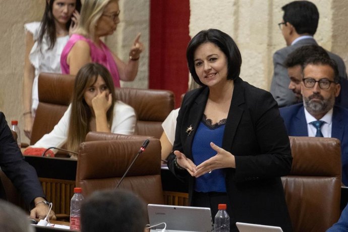 La parlamentaria Virginia Pérez, en la sesión plenaria de este jueves.