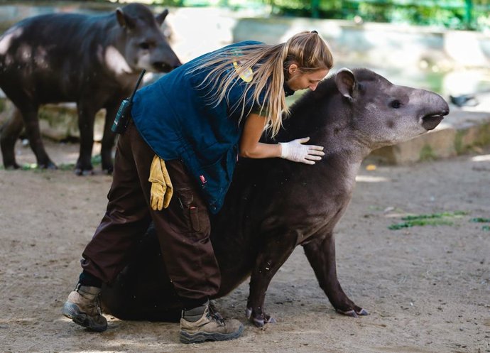 Imatge d'arxiu d'una treballadora del zoo de Barcelona