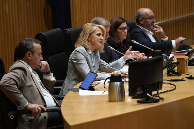 La presidenta interina del Consejo de Administración de la Corporación RTVE, Elena Sánchez, en la Comisión Mixta de Control Parlamentario de la Corporación RTVE y sus Sociedades, en el Congreso