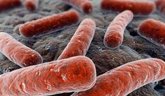Foto: La OMS advierte de un aumento de los casos de tuberculosis durante la pandemia de Covid-19