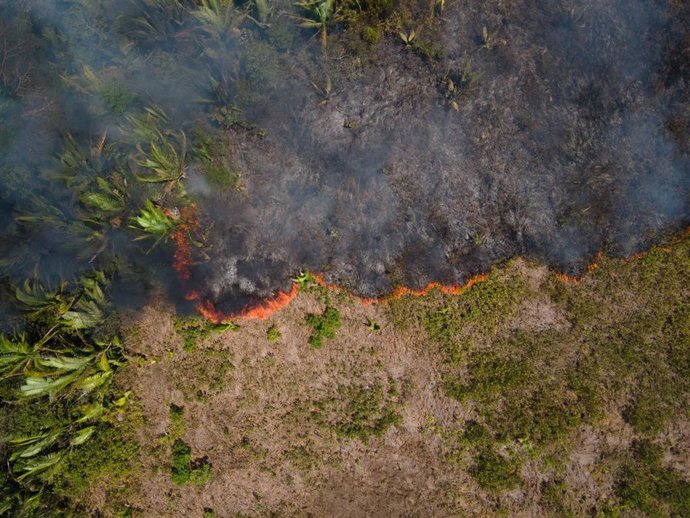 Archivo - Incendio en la Amazonía, Brasil