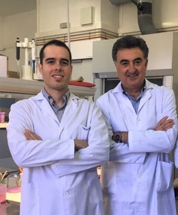 Los investigadores del Instituto de Investigación Biosanitaria de Granada Miguel Ángel González Moles y Pablo Ramos García.
