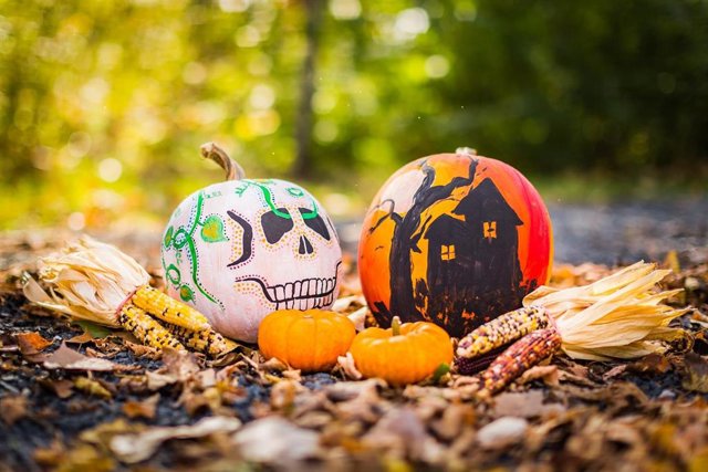 Calabazas decorativas para Hallowen