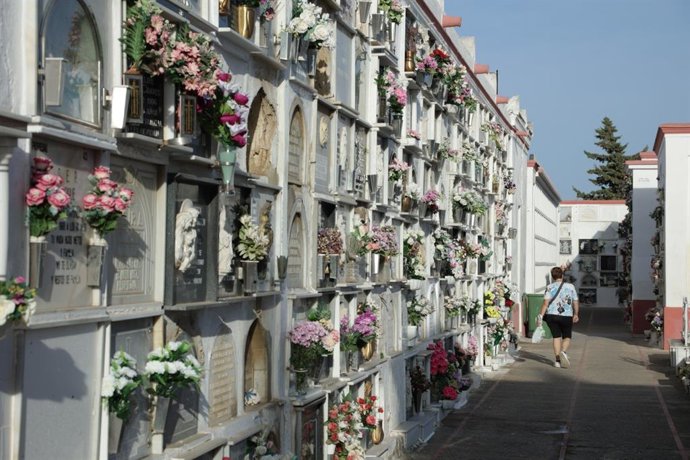 Cementerio de San Fernando