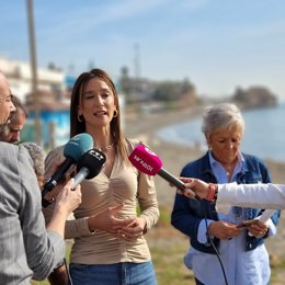 La portavoz del Grupo Municipal Popular en el Ayuntamiento, Elisa Pérez de Siles, atiende a los medios