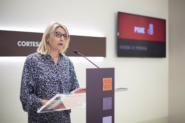 La portavoz de Servicios Sociales del Grupo Socialista en las Cortes de Aragón, Pilimar Zamora.