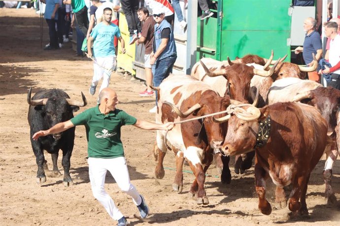 Segundo encierro de la Fira d'Onda