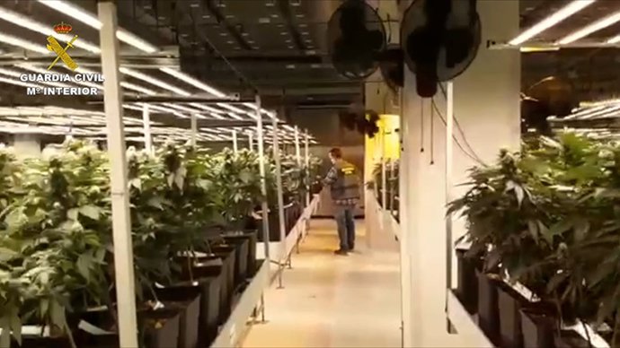 Detingudes 34 persones i intervingudes 12,6 tones de marihuana en una operació a Barcelona