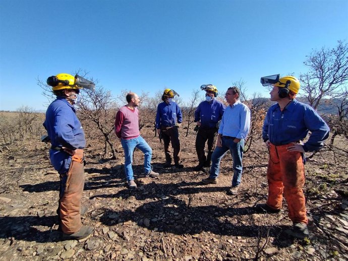 El director general de Medio Natural y Gestión Forestal y responsable de Gestión Ambiental de Podemos Aragón, Diego Bayona, sobre los bomberos forestales.