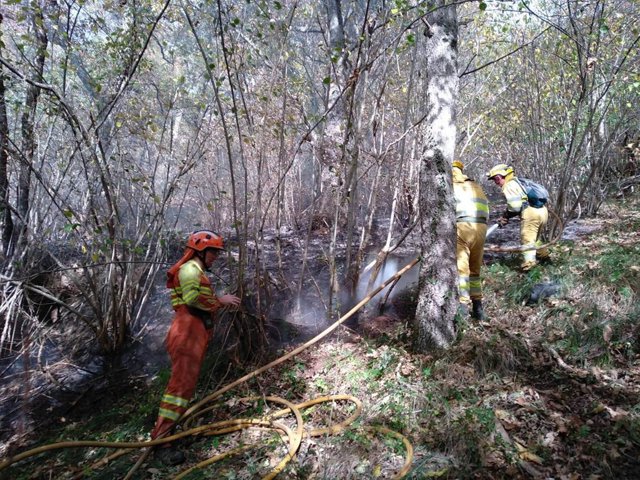 Efectivos sofocan un incendio en Peñarrubia