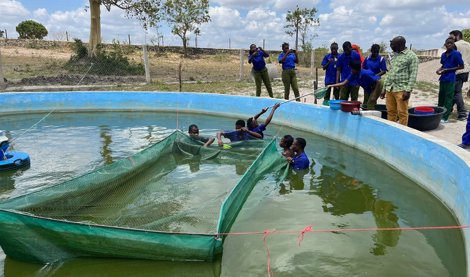 Cooperación y Desarrollo