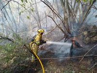 Se reaviva el incendio forestal en Los Tojos