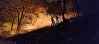 Los incendios de Bostronizo, Obios y Cosío corren riesgo de avivarse por el viento