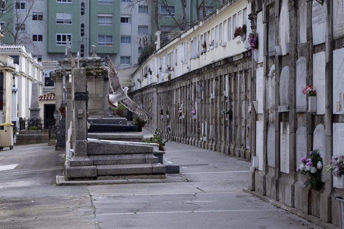 Archivo - Una gaviota sobrevuela el cementerio de San Amaro, A Coruña, Galicia.
