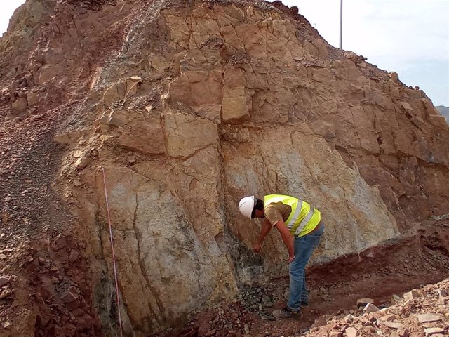 Restos arqueológicos de hace más de 200 millones de años hallados en Algeciras en cuya excavación ha participado una investigadora de la UMA