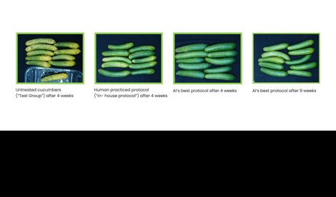 Comunicados Internacional