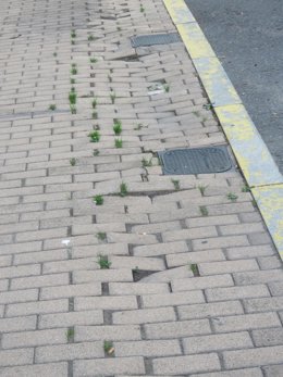 Acerado de una calle del barrio de Pescadería.