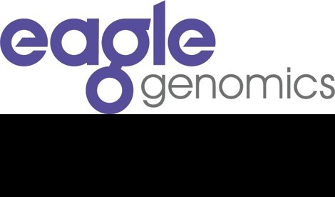 Comunicados Internacional