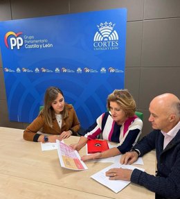 Varios procuradores del PP analizan el proyecto de Presupuestos de la Junta para 2023 para la provincia de Valladolid