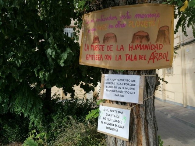 Más Madrid pide que se detengan las talas "indiscriminadas" en las obras de calles