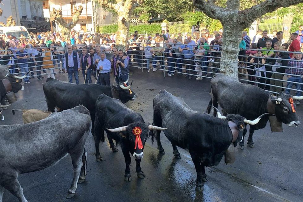 El presidente de Cantabria, Miguel Ángel Revilla y el consejero de Desarrollo Rural, Guillermo Blanco, en la tradicional Feria Ganadera de Todos los Santos de Arredondo