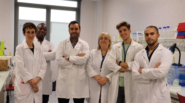 Archivo - El grupo de investigación de la CEU Cardenal Herrera demuestra en su último trabajo en un modelo animal el efecto del sulforafano, un antioxidante presente en vegetales, para retrasar la neurodegeración de la retina.  