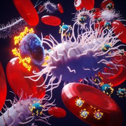 Científicos prueban glóbulos rojos 'inteligentes' para administrar antibióticos contra bacterias específicas