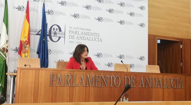 La portavoz del PSOE en el Parlamento de Andalucía, Ángeles Férriz, este miércoles en rueda de prensa.