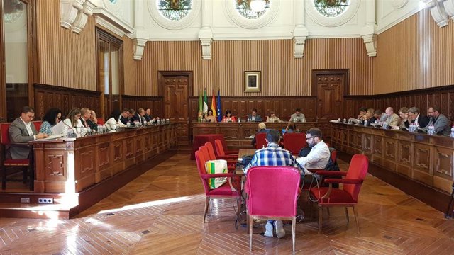 Pleno de la Diputación de Jaén.