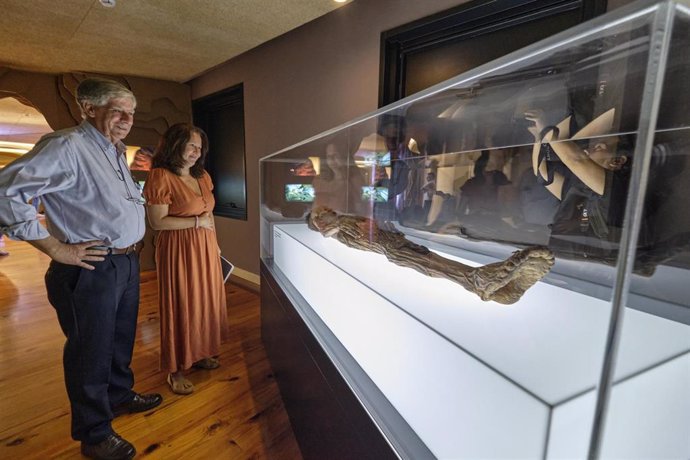 La consejera insular de Museos, Concepción Rivero, y el director del Museo Arqueológico de Tenerife y del Instituto Canario de Bioarqueología, Conrado Rodríguez-Maffiotte, junto a la réplica de la momia