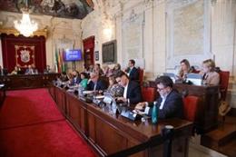 Pleno del Ayuntaiento de Málaga