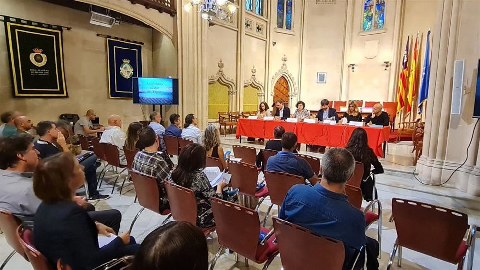 Pleno de la Asamblea Balear del Deporte (ABE).