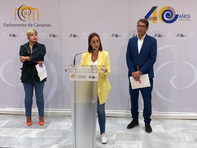 La portavoz parlamentaria del PSOE, Nayra Alemán, la presidenta del grupo, Nira Fierro, y el portavoz económico, Iñaki Lavandera, en rueda de prensa