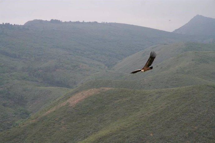 Archivo - Parque Nacional de Monfragüe