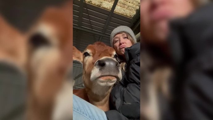 La emotiva relación entre esta chica y su vaca: son inseparables