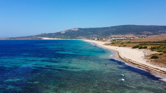 Archivo - Fotografía de la playa de Bolonia,  en Tarifa (Cádiz), repleta del alga invasora, realizada con un dron el 1 de julio de 2021