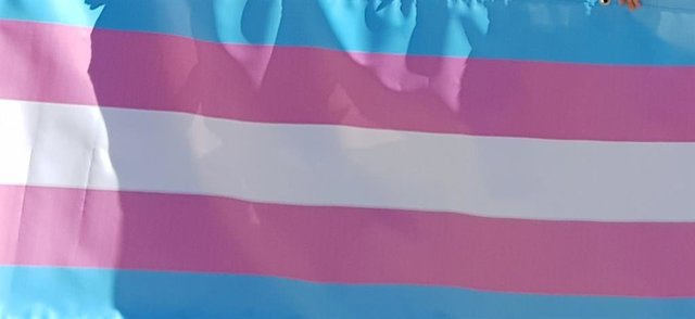 Archivo - Imatge d'arxiu d'una bandera trans