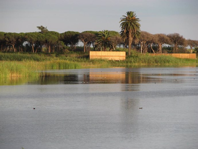 Archivo - Imatge del delta del Llobregat