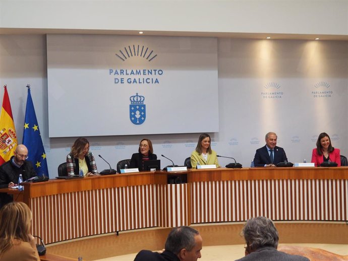 Comparecencia del  presidente de la Diputación de Lugo, José Tomé, en la Comisión de Presupuestos del Parlamento de Galicia