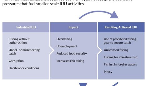Comunicados Internacional