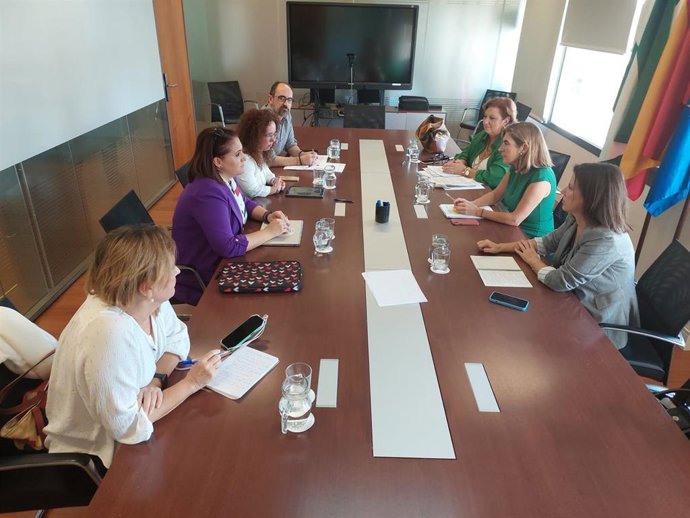 Reunión de la consejera   de Empleo, Empresa y Trabajo Autónomo, Rocío Blanco, la secretaria general de Inclusión Social, Ana Vanessa García, y representantes de Cermi Andalucía
