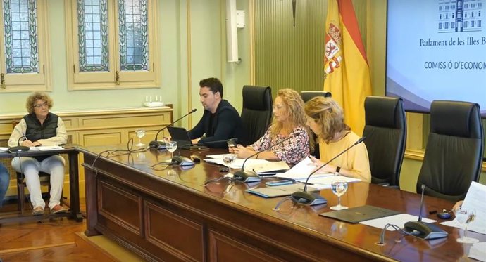 Aram Ortega, en la comparecencia en el Parlament.