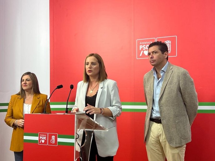 Ana Carrera en rueda de prensa. Archivo