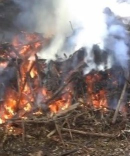 Incendio generado en una acumulación de restos vegetales, en Carbaínos (Gijón)