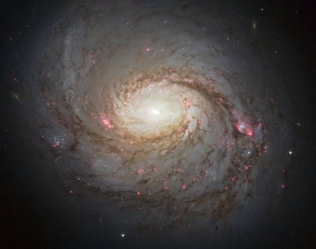 Imagen del Hubble de la galaxia espiral NGC 1068