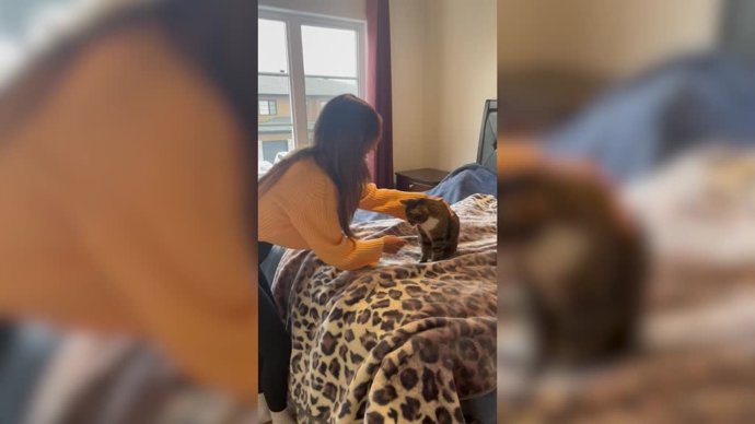El emotivo reencuentro de esta gata con su dueña tras las vacaciones: se habían echado de menos