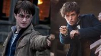 Warner quiere más películas de Harry Potter con J.K. Rowling pero paraliza Animales Fantásticos 4 y 5