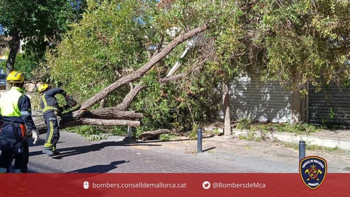 Bomberos de Mallorca atienden un incidente relacionado con el viento en la isla