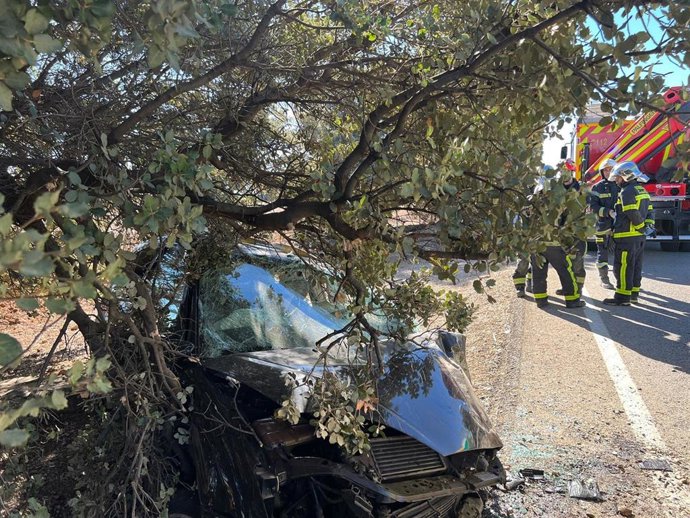 Imacto de un coche contra un árbol en un accidente de carretera