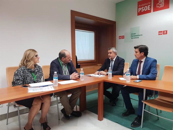 PSOE pide a Moreno mayor interés y celeridad en la tramitación de proyectos de energía eólica y fotovoltáica